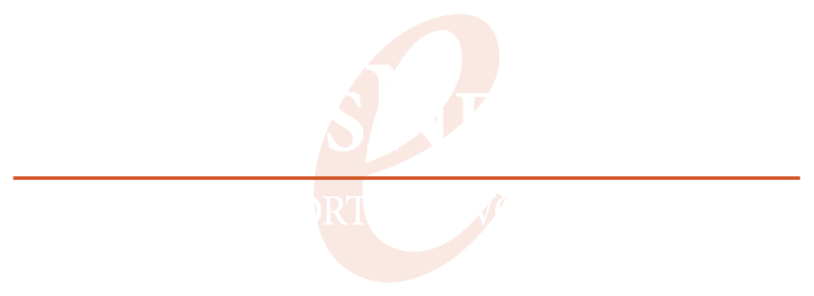 ExpressNetwork Logo